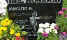 Catholic14